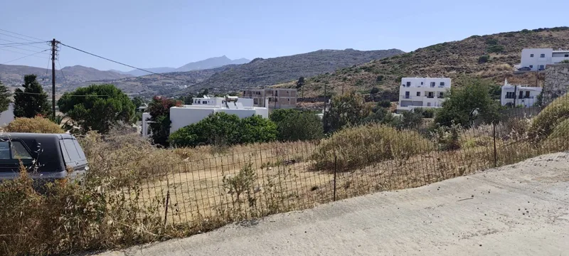 Neighbouring houses and the village landscape